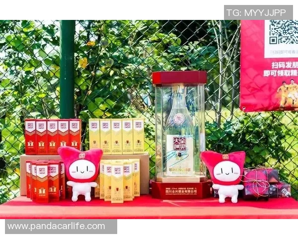 四川全兴足球俱乐部：重燃足球梦想的希望之光与未来发展之路